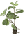Degë dekorative artificiale Lene Bjerre Myrtle, 24cm, jeshile