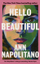 Hello Beautiful - Ann Napolitano