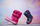 Çizme bore për vajza Crocs Winter Puff Boot Jr 14613-6TR, slip-on, taban gome, rozë