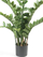 Bimë artificiale Emerald Zamioculcas, 110 cm, për zbukurim, jeshile