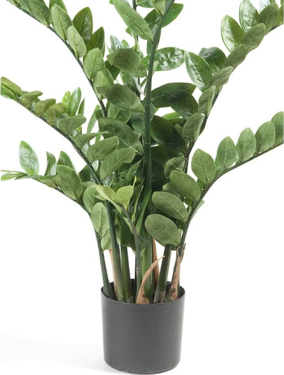 Bimë artificiale Emerald Zamioculcas, 110 cm, për zbukurim, jeshile