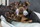 Lodër litari për qen Trixie Junior Rope Dumbbell, 22 cm, pambuk poliester, shumëngjyrëshe pastel