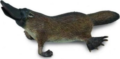 Figurë Collecta Sqepori Australian, M, e hirtë