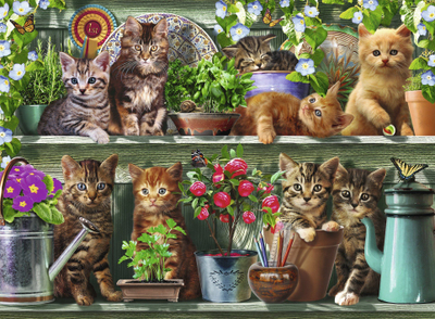 Puzzle Ravensburger 14824 Cats on the Shelf, 500 copa, me ngjyra plot