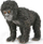 Figurë kafshe Collecta Young Mountain Gorilla, shumëngjyrëshe