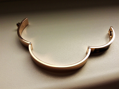 Byzylyk dore Michael Kors MKJ5379791