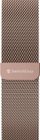 Rrip SwitchEasy SwitchEasy për Apple Watch 42/44 / 45 mm, ari rozë