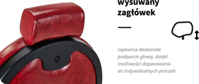 Karrige berberi President Red, profesionale, e kuqe