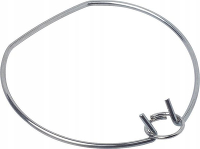 Rreth fiksues Paulmann 404000753, metal, argjendtë