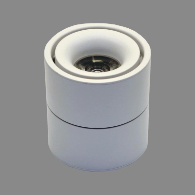 Spot tavanor LED Topex TOPE, 10W, 4000K, i bardhë