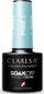 Llakk xheli për thonj Claresa SoakOff Color Mint, UV LED, 5g, mente