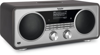 Radio TechniSat DigitRadio 602, hiri / argjendtë
