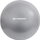 Top ushtrimesh Schildkrot Exercise Ball 55 cm, PVC, me pompë, argjendtë