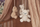 LODER KREVATI  Teddy Bear Naturel/Biscuit