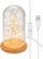 Декоративна стаклена купа со Micro LED светла, низа 5 m 50 LED, USB кабел 115 cm, топло бела светлина