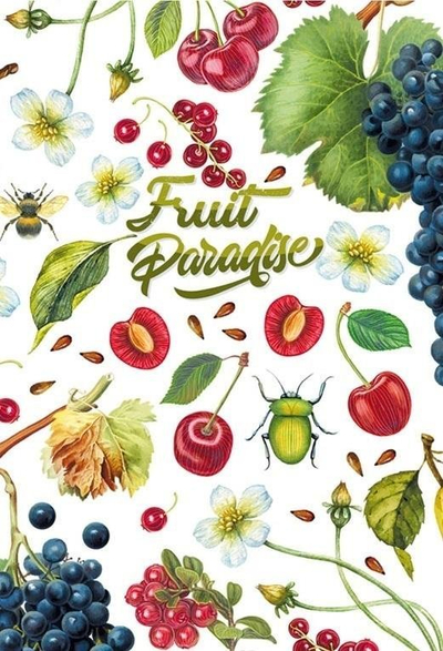 Fletore Fresh Decorative Notebook 128x165mm, 64 fletë me vija, me dizajn me qershi