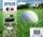 Patron shumëngjyrësh Epson Golf Ball 34XL, multipack, origjinal