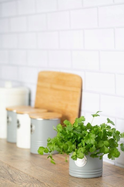 Сад за зачини Typhoon Living Herb Planter, 700ml, метал, крем