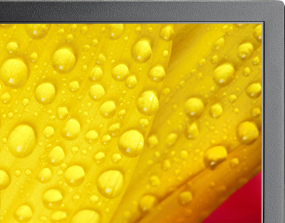 Ekran profesional NEC MultiSync M551-2, 55\", 4K Ultra HD, ngjyrë e zezë