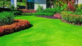 Семe за декоративна трева Biopon Universal Grass, 0,5 kg, отпорна на мраз, зелена