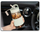 Shishe termus Buydeem CD1017, 0.5L, qelq, jeshile Cozy Greenish