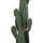 Bimë dekorative sintetike HM4748 Cactus, 85cm, me vazo 16cm, jeshile