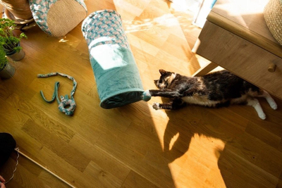 Kruajtëse për mace Zolux Ethicat Scratcher, sisal, miqësore me mjedisin, shumëngjyrëshe