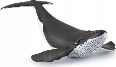 Figurinë Papo: Young Humpback Whale