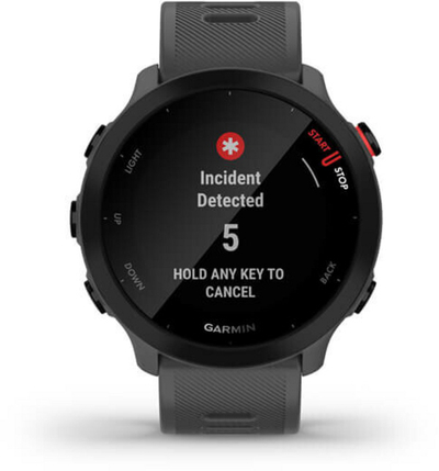 Orë dore Garmin Forerunner 55 Gray 010-02562-13