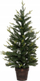 Pemë artificiale Krishtlindjesh Feeric Lights &amp; Christmas Helsinky, 100cm, me vazo dekorative, jeshile
