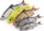 Karrem artificial Savage Gear 3D LB Roach Swim N Jerk, 12.5 cm, 18 g, set me 2 copë