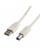 Kabllo USB STANDARD 2.0 A në B, 0.8 m, bezhë