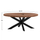 Tavolinë ovale Levinho 210×100×78 cm (HM8483.11)