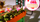 Set DIY shpi miniaturë Rolife Dessert Shop, LED, dru letër edhe plastikë, mente