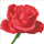 Сет уметност со дијаманти Diamond Dotz Rose Bud, во рамка, 12x12"