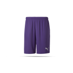 Pantallona të shkurtra sportive PUMA TeamGOAL 23 Knit, poliestër dryCELL, Prism Violet