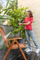 Pastrues me presion Karcher K 2 Classic, 360 l/h, 1400 W, i verdhë/ zi