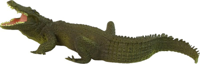 Set figura lodrash kafshë të egra, safari afrikane, shumëngjyrëshe