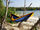 Varëse kampingu Amazonas Adventure Hammock, XXL, shumë e lehtë, blu me të verdhë