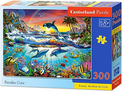 Puzzle Castorland, 8+, 300 elemente