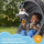 Мека играчка Fisher Price Flap and Go Toucan, за бебиња, многуразнобојна