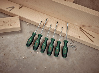 Set kaçavidash Bosch 1600A02BX7, 6 pjesë, çelik S2, Softgrip
