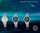 Orë dore Festina Swarovski 20331/2