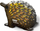 Puzzle 3D Eugy Echidna, model kartoni, shumëngjyrësh