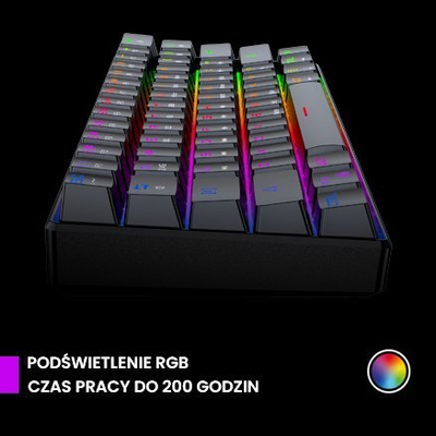 Set tastiere edhe miu Preyon Brown All Claw PBAC61B edhe Owl POW35B, mekanike, wireless, me RGB, ngjyrë e zezë