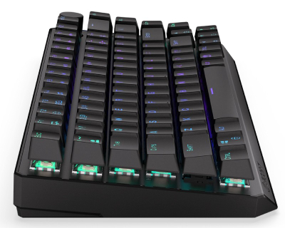 Tastierë Endorfy Thock EY5A074 - WiFi, BT, USB, e zezë