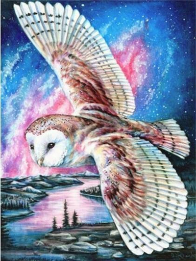 Set pikture me diamante Norimpex Flight of the Owl, 30x40cm, me ngjyra