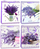 Qese dhurate letre Lean Paper Gift Bag Lavender, 32 x 26 x 12 cm, me lule livando, ngjyrë lejla