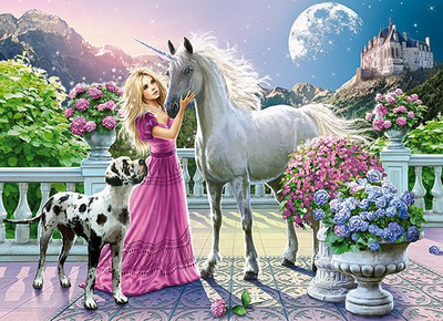 Puzzle Castorland, 300 copa