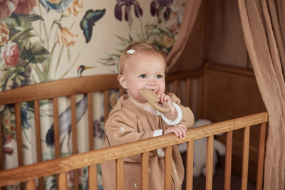 Loder per dhembet Teddy Bear - Biscuit